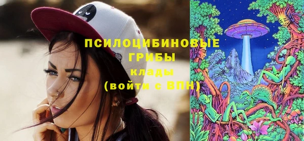 Альфа ПВП Армянск