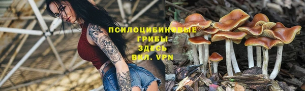 синтетический гашиш Арсеньев
