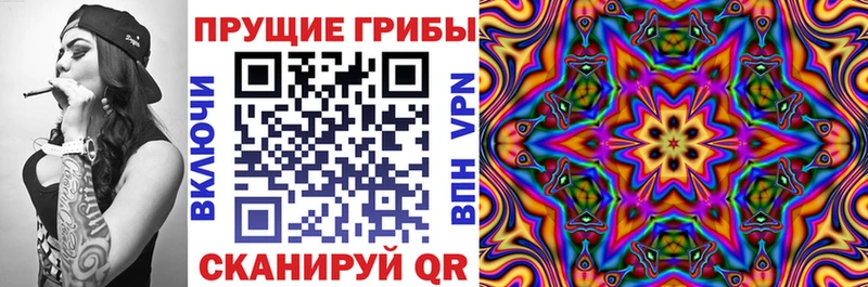 Псилоцибиновые грибы Magic Shrooms  Цивильск 